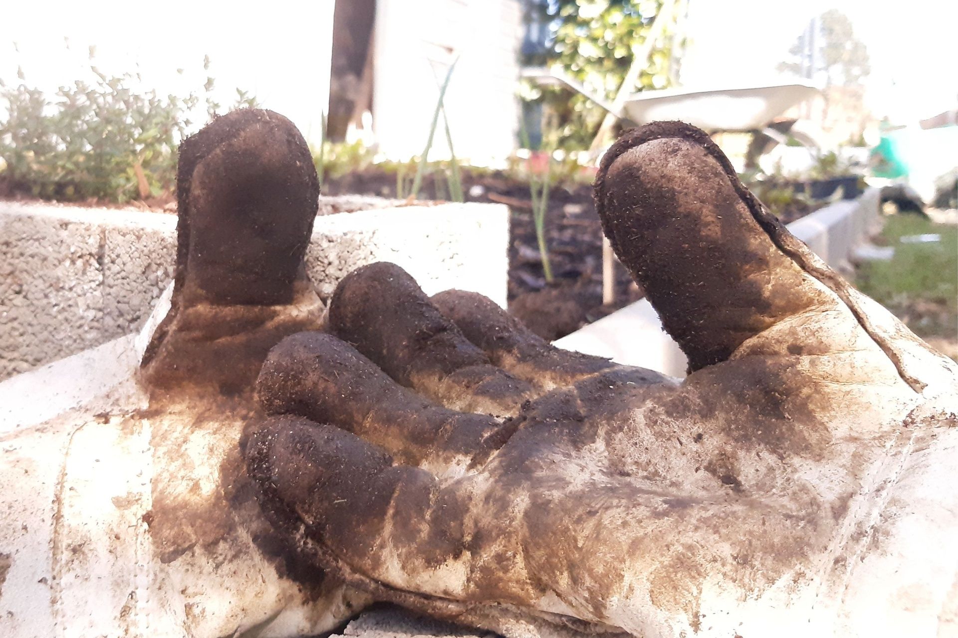 Dreckige Lederhandschuhe liegen im Vordergrund eines Blumenbeetes